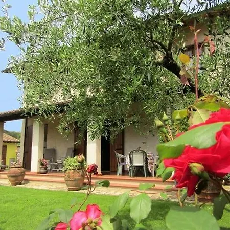 Casa Vacanze Lulu Camaiore Exterior photo